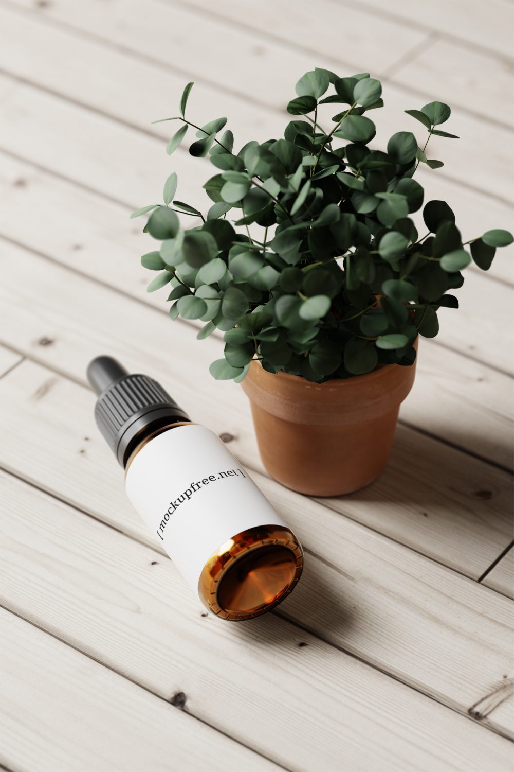 Amber Glass Dropper Bottle with Eucalyptus Plant Free Mockup