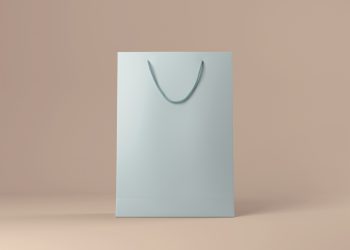 Present or Shopping Bag Free Mockup