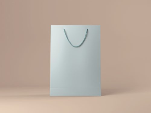 Present or Shopping Bag Free Mockup