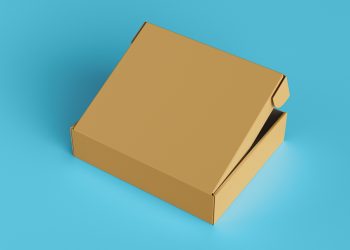 Half Open Cardboard Box Free Mockup