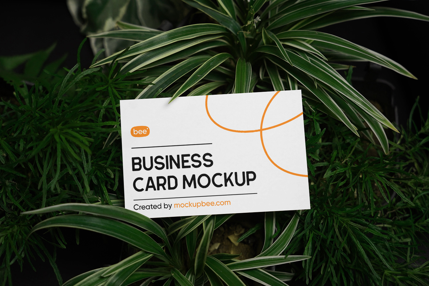 Business Card in Grass Free Mockup