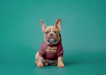 Dog Hoodie Free Mockup