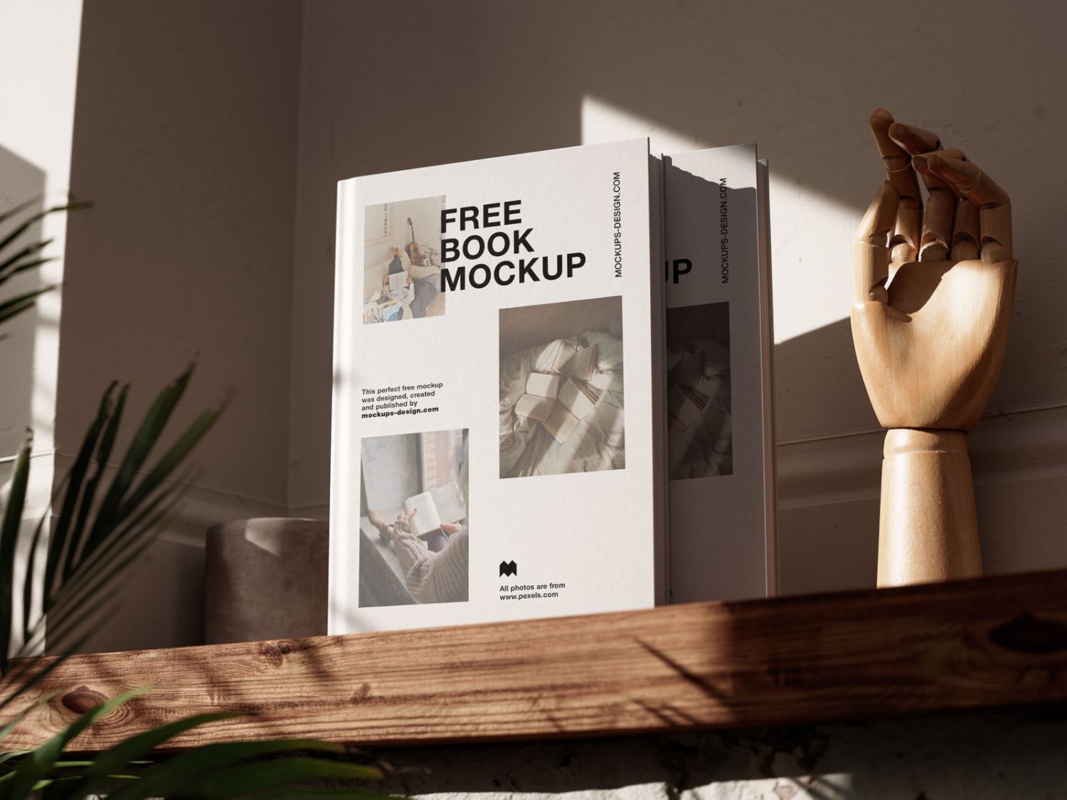 Books on a Wooden Shelf Free Mockups