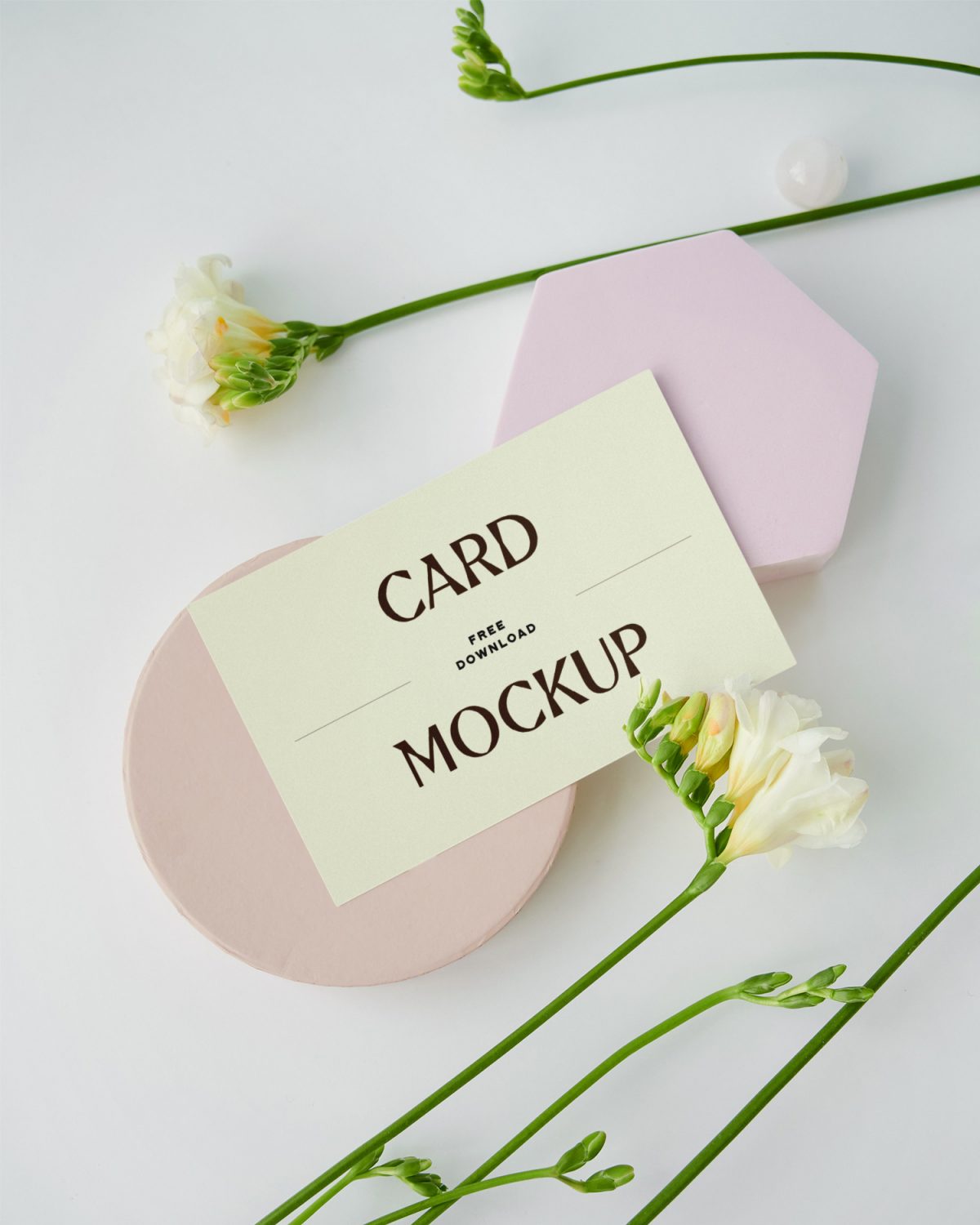 Cards with Flowers Free Mockup