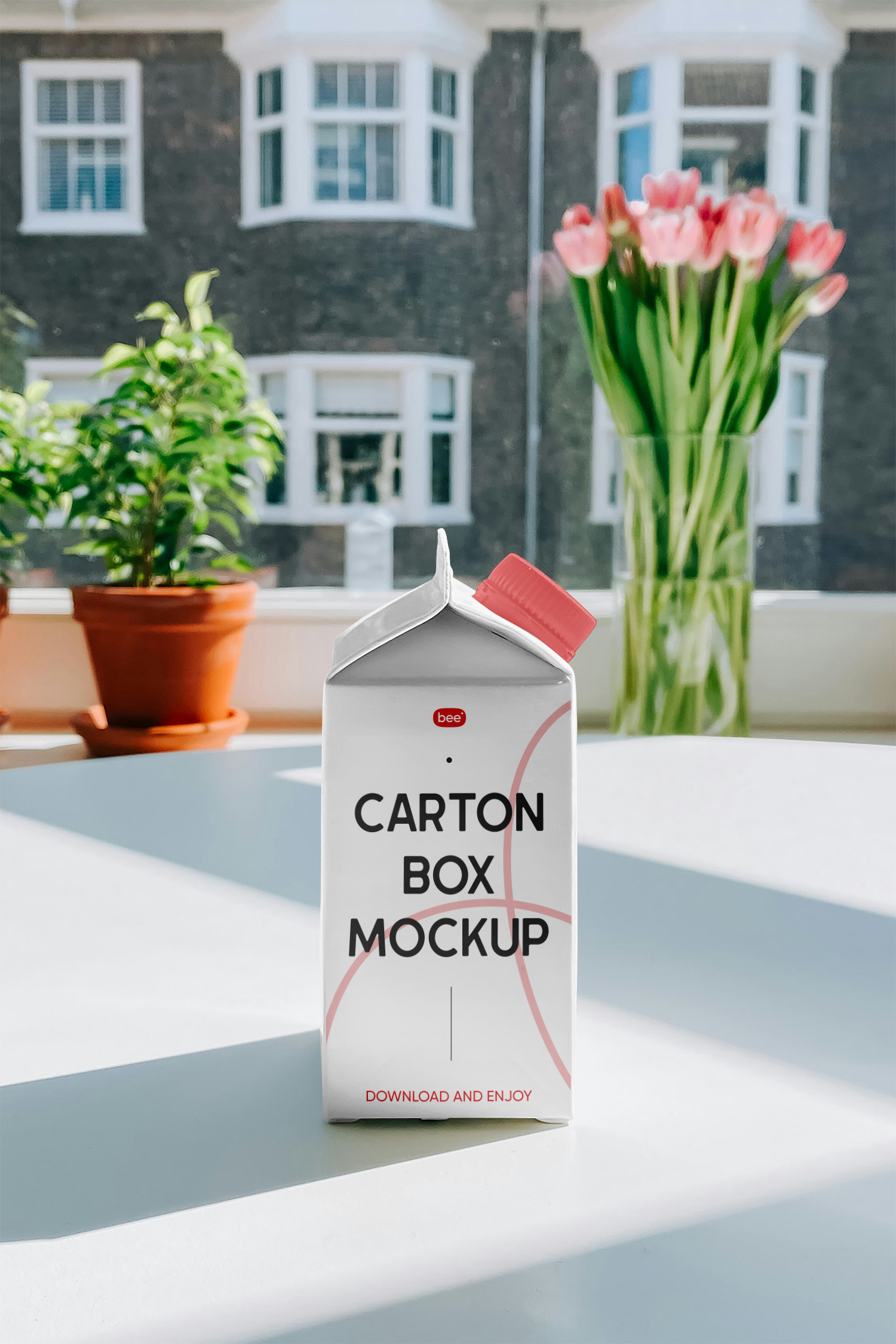 Carton Packaging Free Mockup