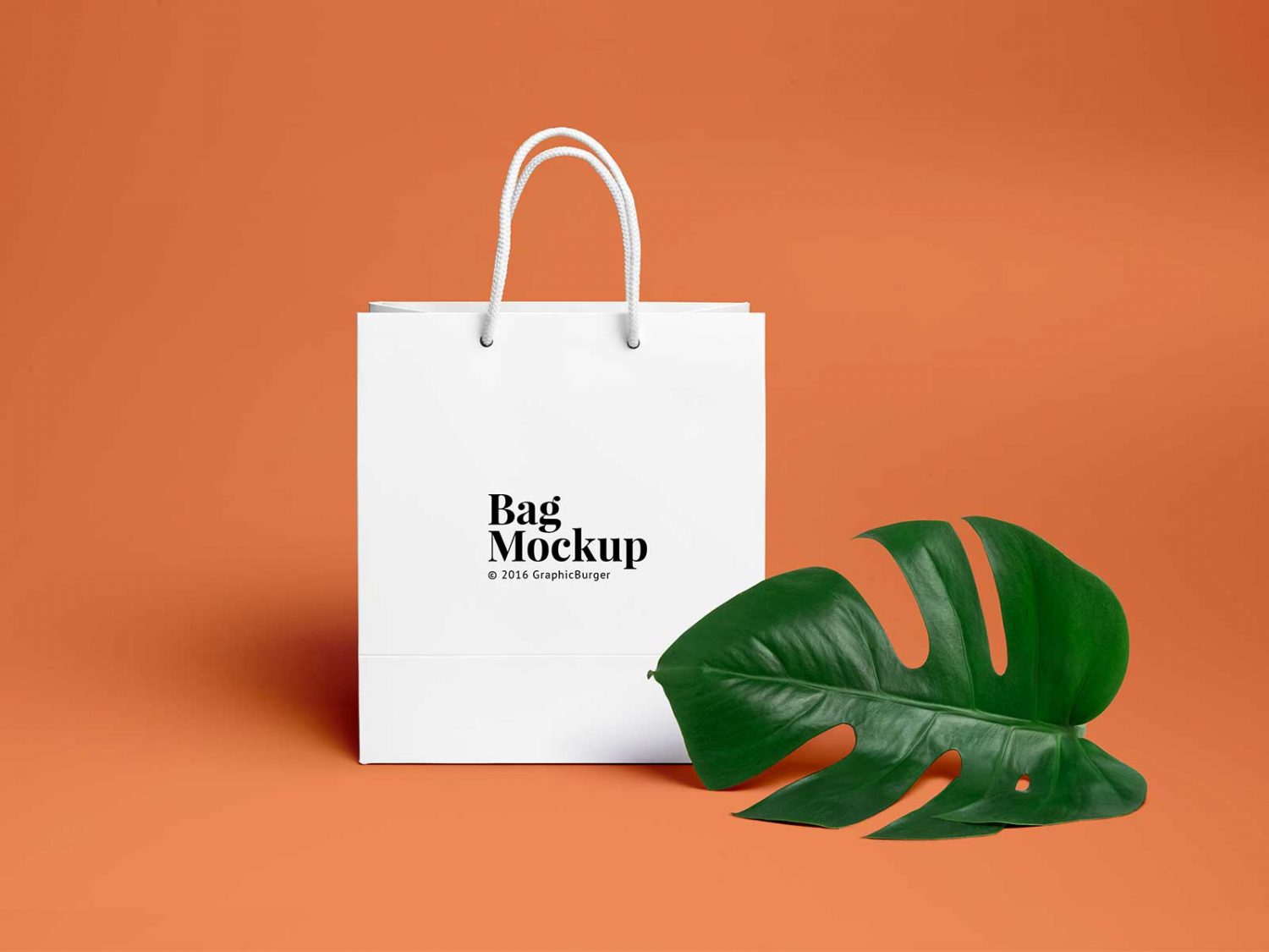 Shopping Bag PSD Mockup