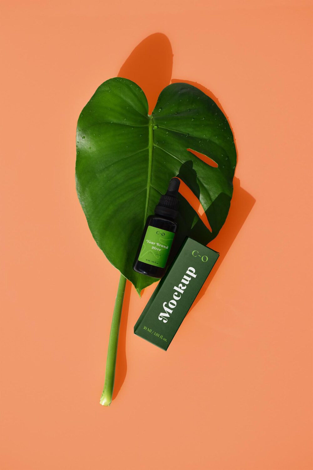 Essential Oil Dropper Bottle Mockup with Box