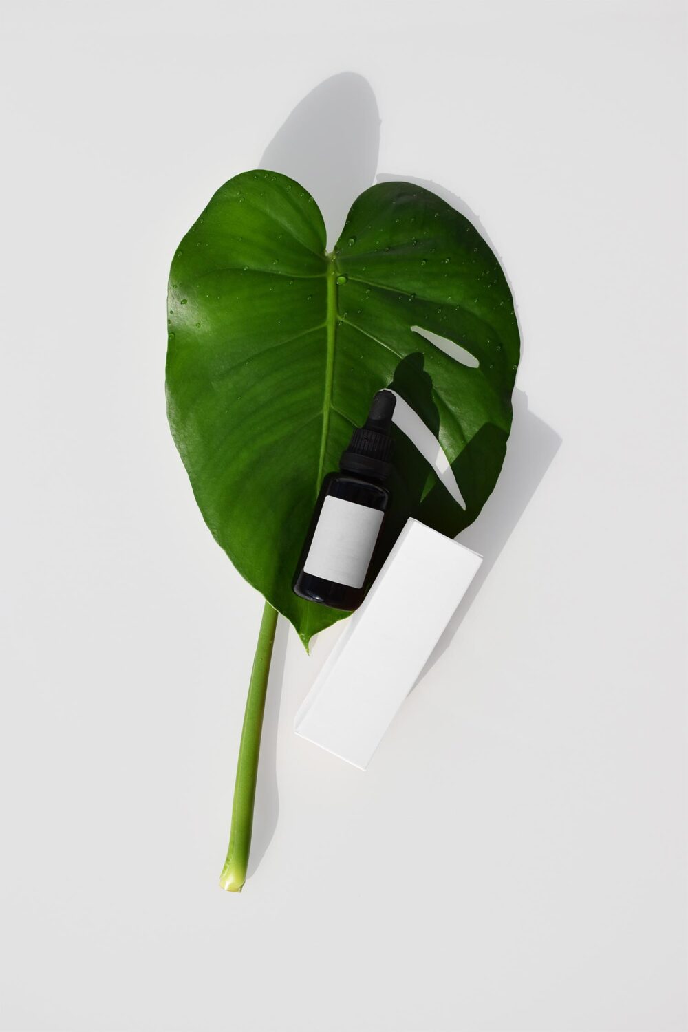 Essential Oil Dropper Bottle Mockup with Box